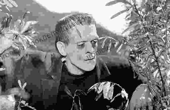 A Black And White Publicity Still From Frankenstein (1931),Depicting Boris Karloff As The Monstrous Creature With Bolts In His Neck. The Horror Show Guide: The Ultimate Frightfest Of Movies