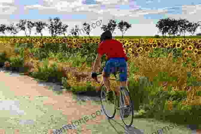 A Cyclist Riding Through A Field Of Sunflowers With A Pie In His Hand Long Ride For A Pie: From London To New Zealand On Two Wheels And An Appetite