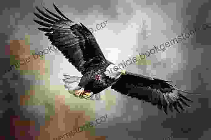 A Majestic Bonelli's Eagle Soaring Through The Skies AVITOPIA Birds Of Lebanon