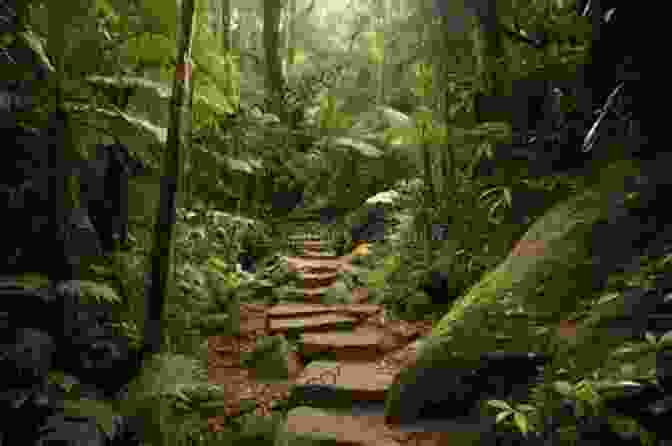 A Panoramic View Of A Group Of Explorers Trekking Through A Lush Rainforest, With Towering Trees And Vibrant Flora Surrounding Them. No Such Thing As Failure: My Life In Adventure Exploration And Survival
