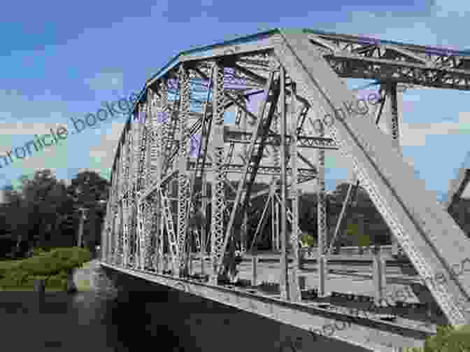 A Photo Of A Steel Bridge Building The Modern World: Albert Kahn In Detroit (Painted Turtle)