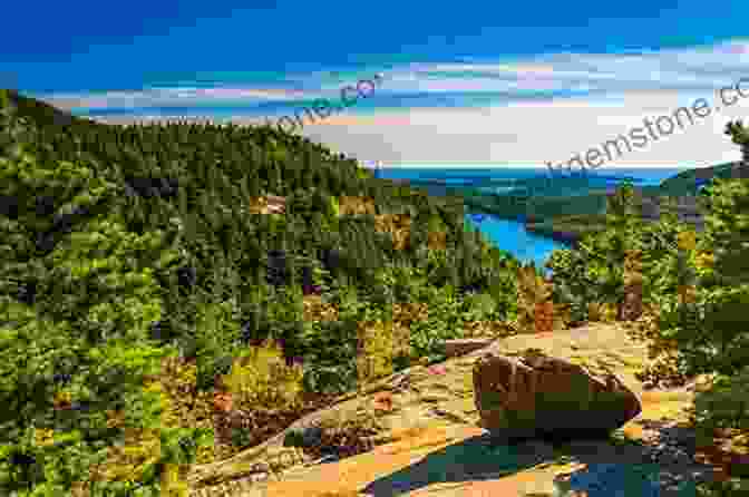 A Photo Of Acadia National Park Subpar Parks: America S Most Extraordinary National Parks And Their Least Impressed Visitors