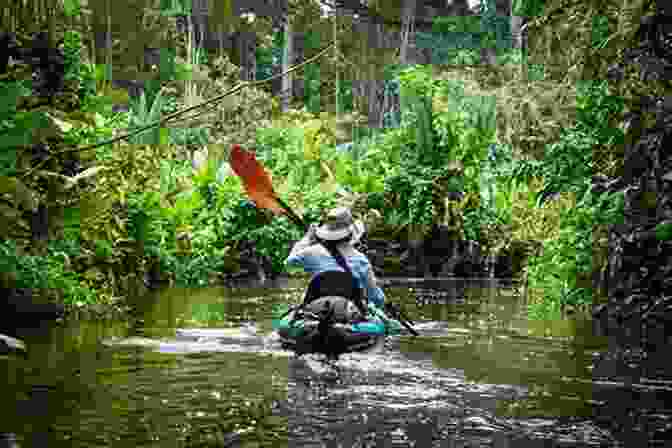 A Serene Image Of A Canoe Gliding Through The Verdant Amazon Rainforest Discovering The Meaning Of Life Through The Trip Around South America: A Light Read For Everyone