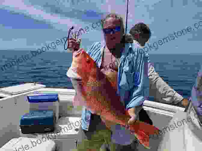 An Angler Reeling In A Large Snapper Caught In The Coastal Waters Of New Zealand. Open Season: An Angler S Life In New Zealand