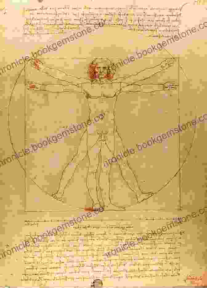 Leonardo Da Vinci's Vitruvian Man Drawing The Vatican Art Deck: 100 Masterpieces