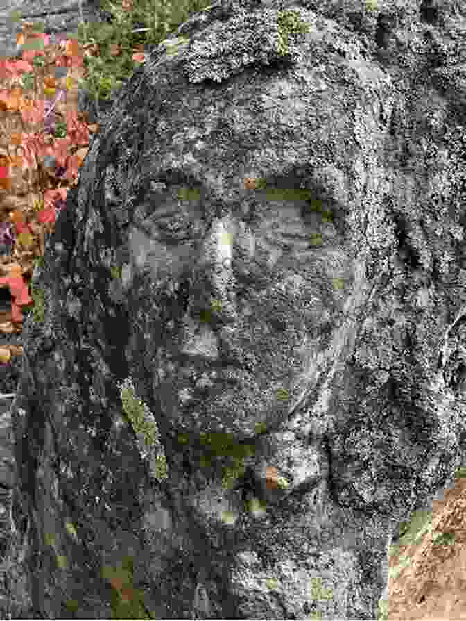 Photograph Of A Stone Carving Depicting A Face With Leaves Growing Out Of Its Mouth Mysterious Chicago: History At Its Coolest