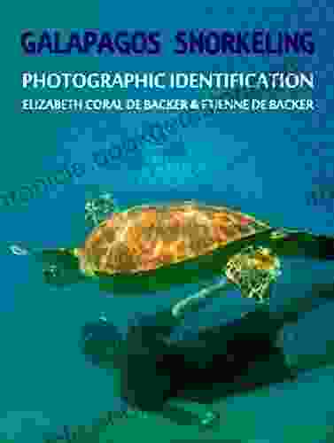 GALAPAGOS SNORKELING: PHOTOGRAPHIC IDENTIFICATION ETIENNE DE BACKER